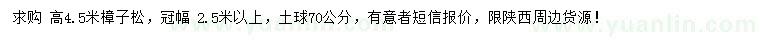 求購高4.5米樟子松