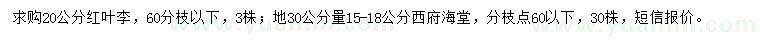 求購20公分紅葉李