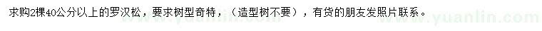 求購(gòu)40公分以上羅漢松
