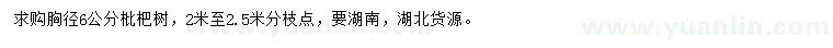 求購胸徑6公分枇杷樹