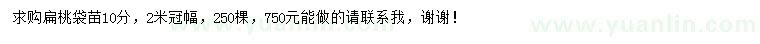 求購冠2米扁桃袋苗