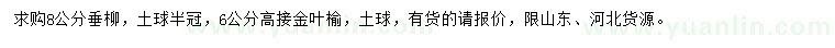 求購(gòu)8公分垂柳、6公分高接金葉榆