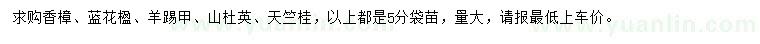 求購香樟、藍花楹、羊踢甲等