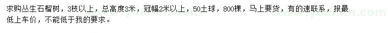 求購高3米叢生石榴樹