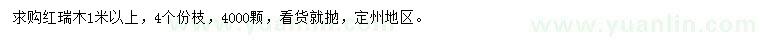 求購1米以上紅瑞木