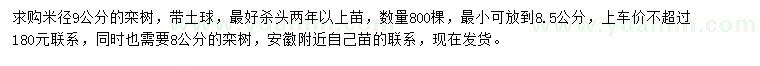 求購米徑8、9公分欒樹