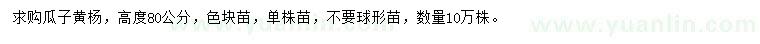 求購(gòu)高80公分瓜子黃楊