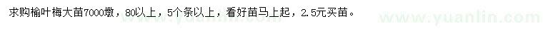 求購榆葉梅大苗