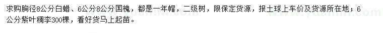 求購白蠟、國槐、紫葉稠李