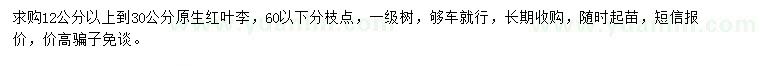 求購12-30公分原生紅葉李
