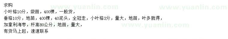 求購(gòu)小葉榕、垂榕、加拿利海棗