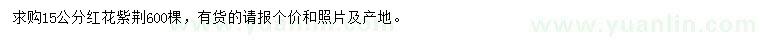 求購15公分紅花紫荊