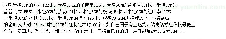 求購紅梅、羊踢甲、黃角蘭等