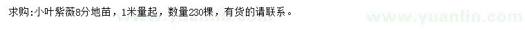 求購(gòu)1米量8公分小葉紫薇地苗