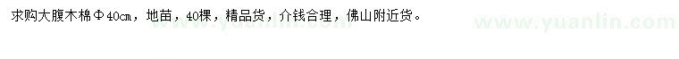 求購胸徑40公分大腹木棉 