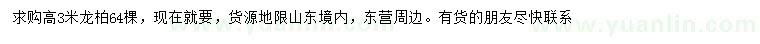 求購(gòu)高3米龍柏