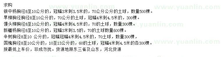 求購銀中楊、旱柳、饅頭柳等