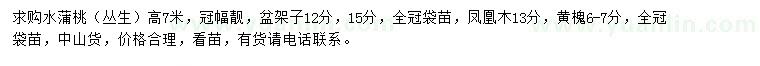 求購(gòu)水蒲桃、盆架子、鳳凰木等