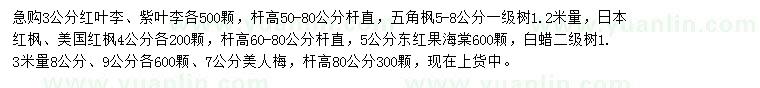 求購紅葉李、紫葉李、五角楓等