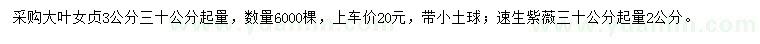 求購(gòu)大葉女貞、速生紫薇