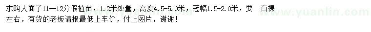 求購(gòu)1.2米處量11-12公分人面子