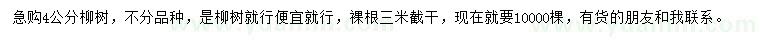 求購4公分柳樹