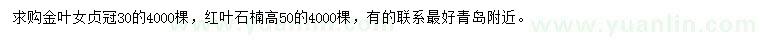 求購金葉女貞、紅葉石楠