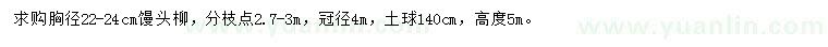 求購胸徑22-24公分饅頭柳