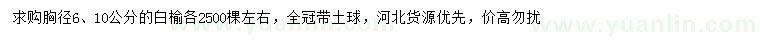 求購胸徑6、10公分白榆