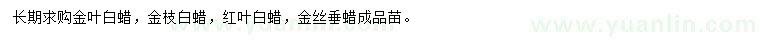 求購金葉白蠟、金枝白蠟、紅葉白蠟等