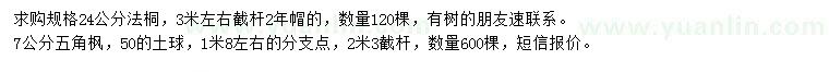 求購24公分法桐、7公分五角楓