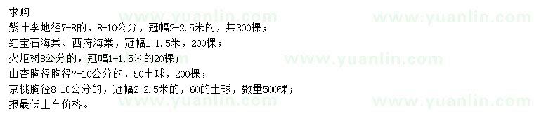 求購紫葉李、紅寶石海棠、西府海棠等