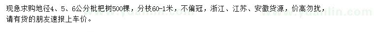 求購地徑4、5、6公分枇杷樹