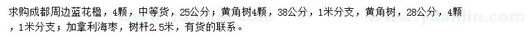 求購藍花楹、黃角樹、加拿利海棗