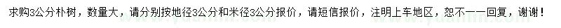 求購3公分樸樹
