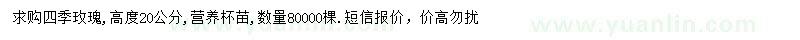 求購(gòu)高度20公分四季玫瑰營(yíng)養(yǎng)杯苗