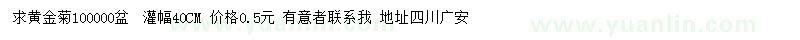 求購冠40公分黃金菊