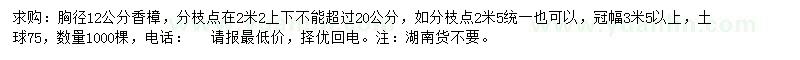 求購胸徑12公分香樟