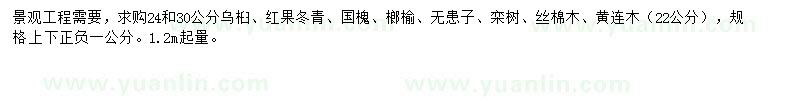 求購(gòu)烏桕、國(guó)槐、榔榆等