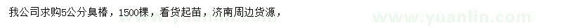 求購5公分臭椿