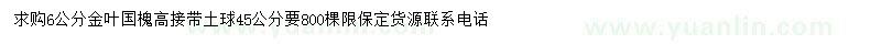 求購(gòu)6公分金葉國(guó)槐