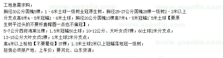 求購國槐、西府海棠、大葉女貞等