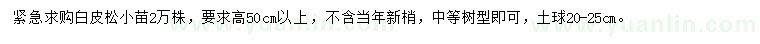 求購白皮松小苗