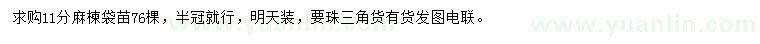 求購(gòu)11公分麻楝袋苗