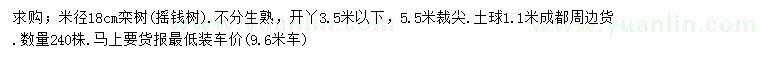 求購米徑18公分欒樹