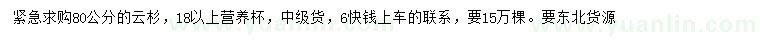 求購高80公分云杉