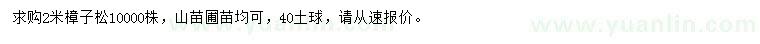 求購2米樟子松