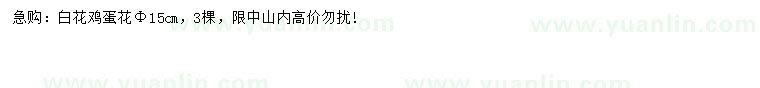 求購(gòu)胸徑15公分白花雞蛋花