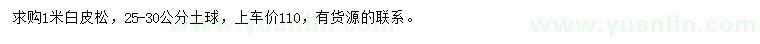 求購1米白皮松