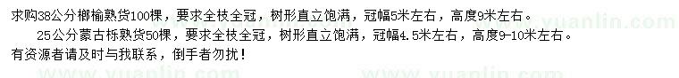 求購38公分榔榆、25公分蒙古櫟